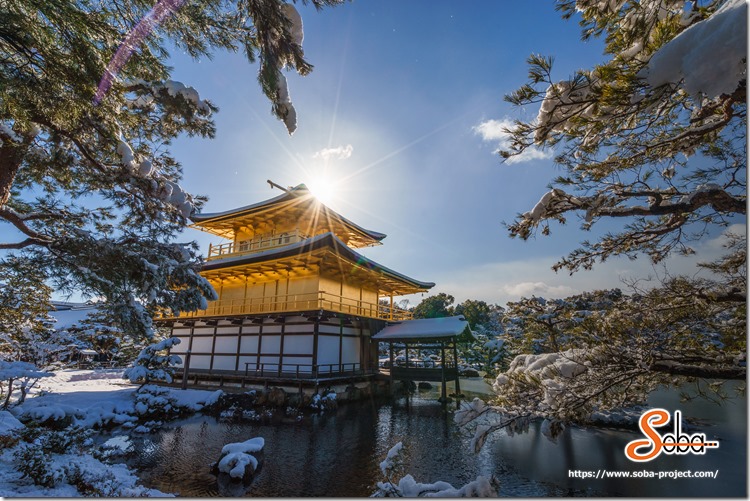新年のご挨拶